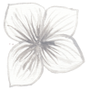 1.png 1.png